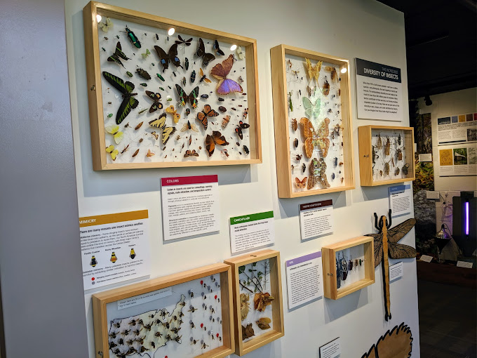 Frost Entomological Museum Travel | Museums