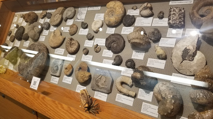 Fryxell Geology Museum Travel | Museums