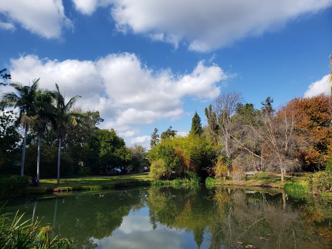 Fullerton Arboretum Travel | Museums