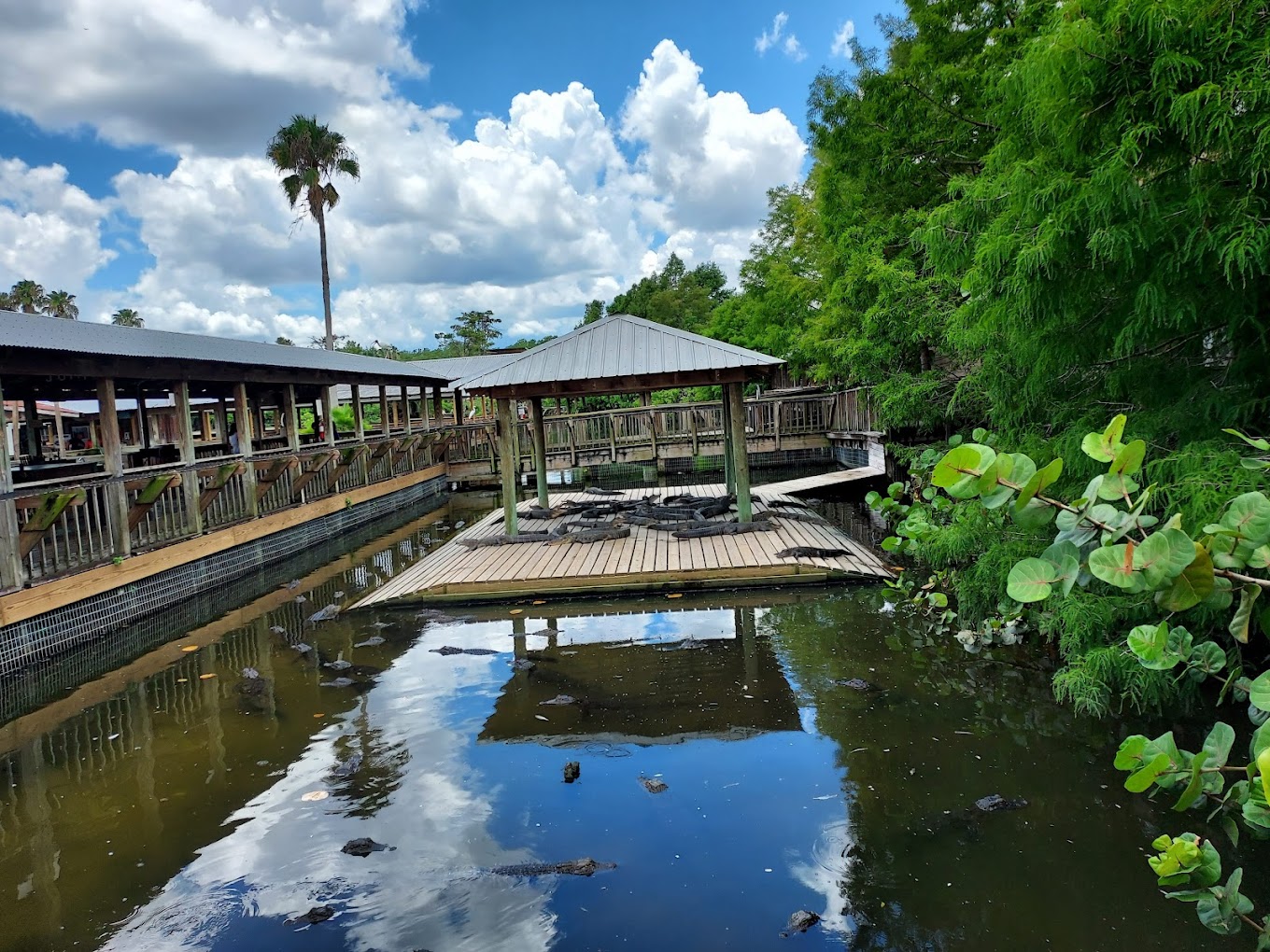 Gatorland, Orlando Travel | Park