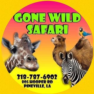 Gone Wild Safari - Logo