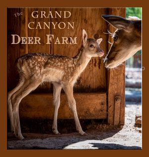 Grand Canyon Deer Farm Logo