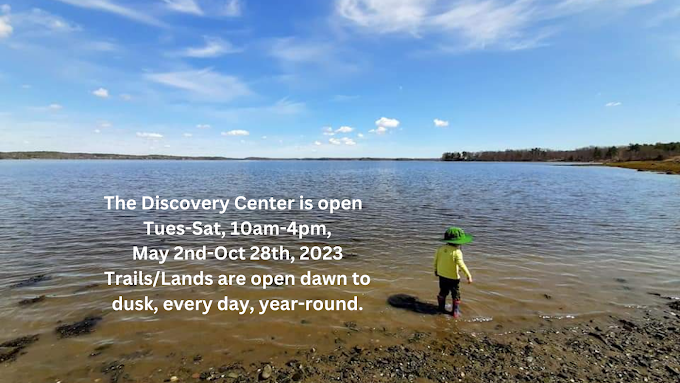 Great Bay Discovery Center Travel | Museums