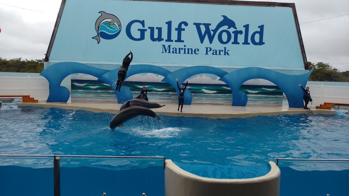 Gulf World Marine Park Travel | Park