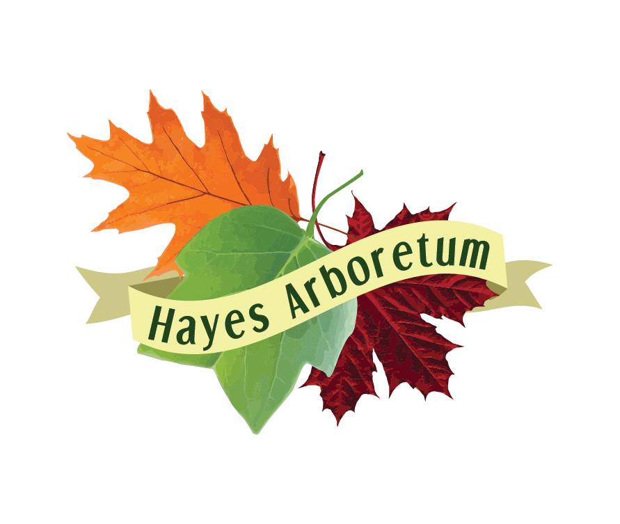 Hayes Arboretum Logo