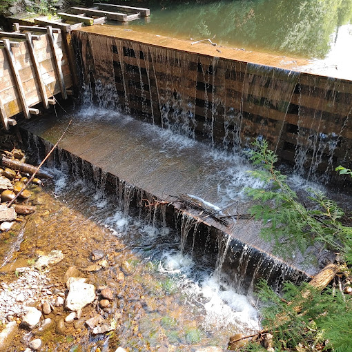 Historic Mill Creek Discovery Park Travel | Museums