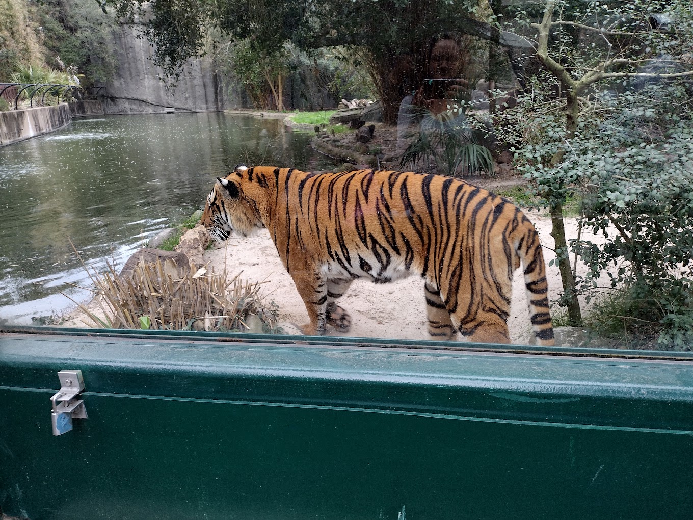 Houston Zoo Travel | Zoo and Wildlife Sanctuary 