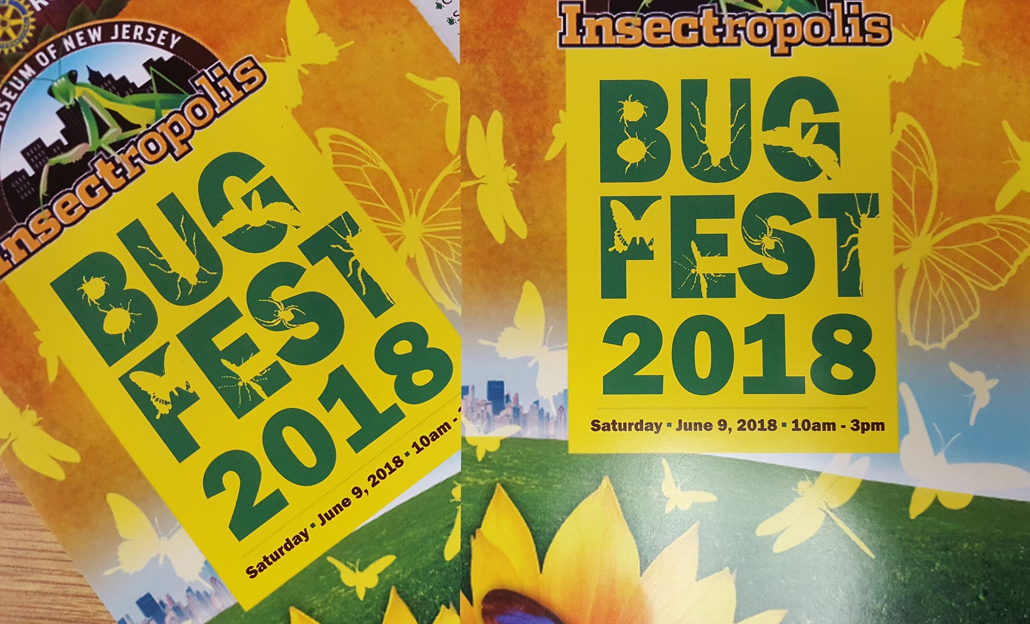Insectropolis Travel | Museums