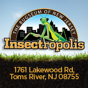 Insectropolis Logo