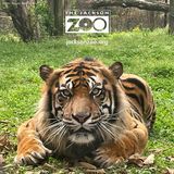 Jackson Zoo - Logo