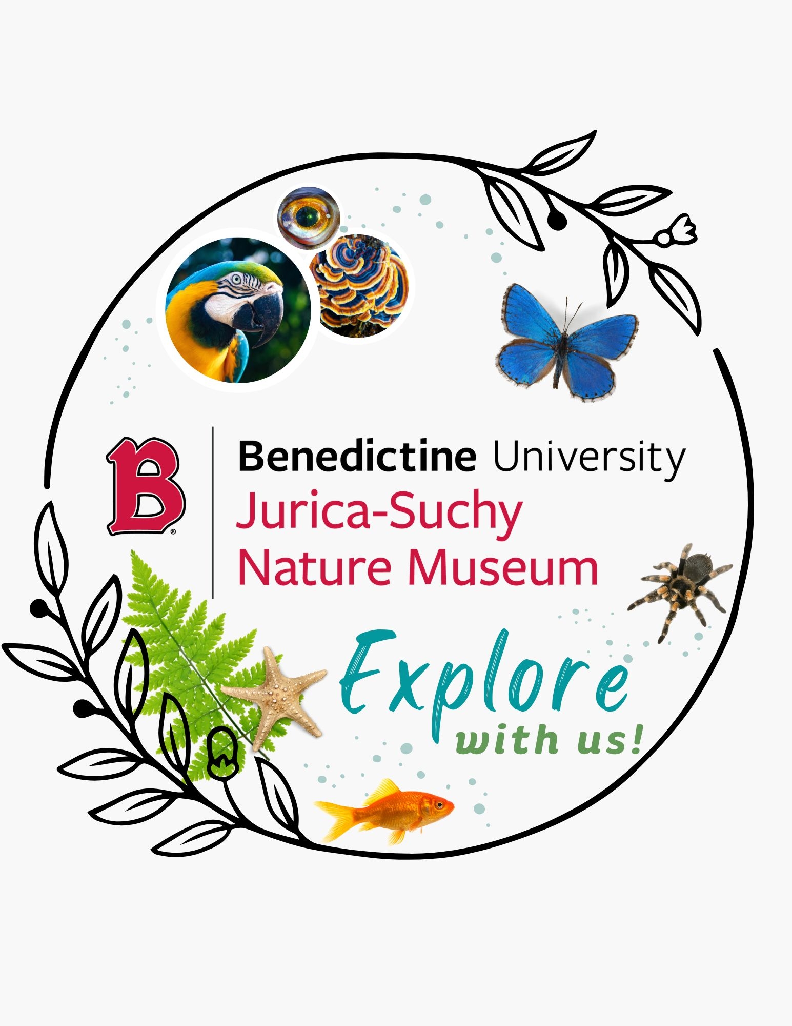 Jurica-Suchy Nature Museum Logo