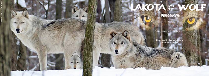 Lakota Wolf Reserve Logo