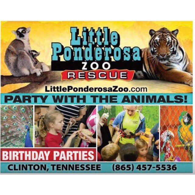 Little Ponderosa Zoo and Rescue Logo