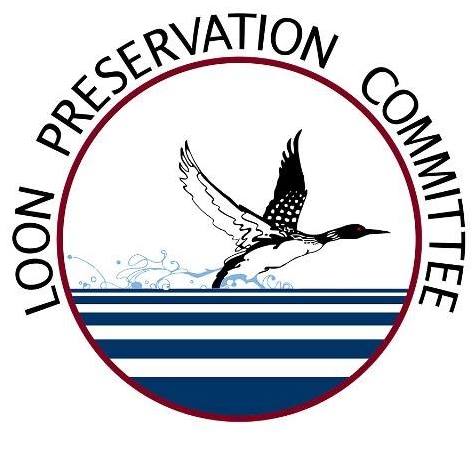 Loon Center Logo