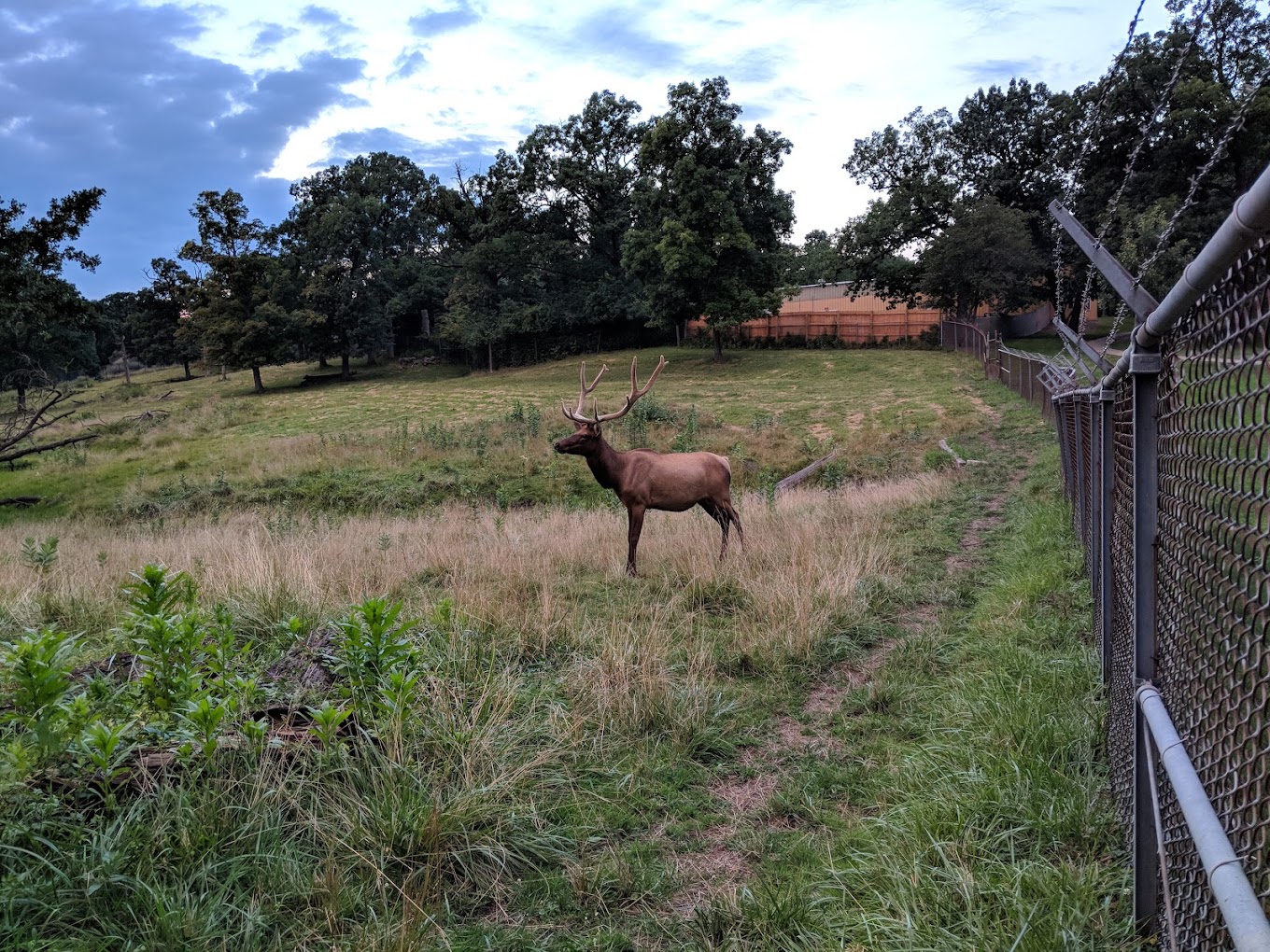 Lords Park Zoo Travel | Zoo and Wildlife Sanctuary 