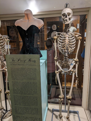 Mütter museum philadelphia Travel | Museums