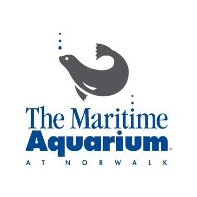 Maritime Aquarium at Norwalk|Museums|Travel