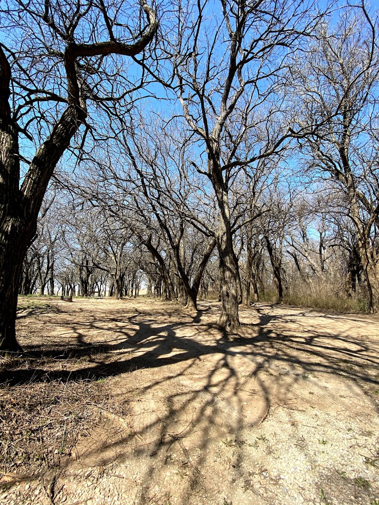 Maxwell Wildlife Refuge Travel | Zoo and Wildlife Sanctuary 