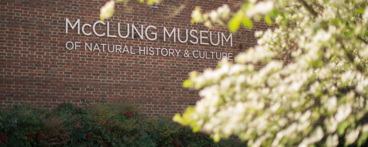 McClung Museum of Natural History and Culture Travel | Museums