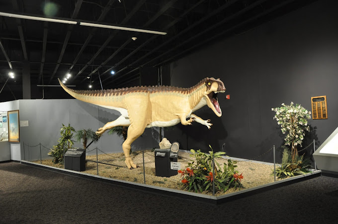 Mesalands Community Colleges Dinosaur Museum Travel | Museums