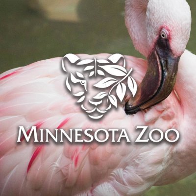 Minnesota Zoo Logo