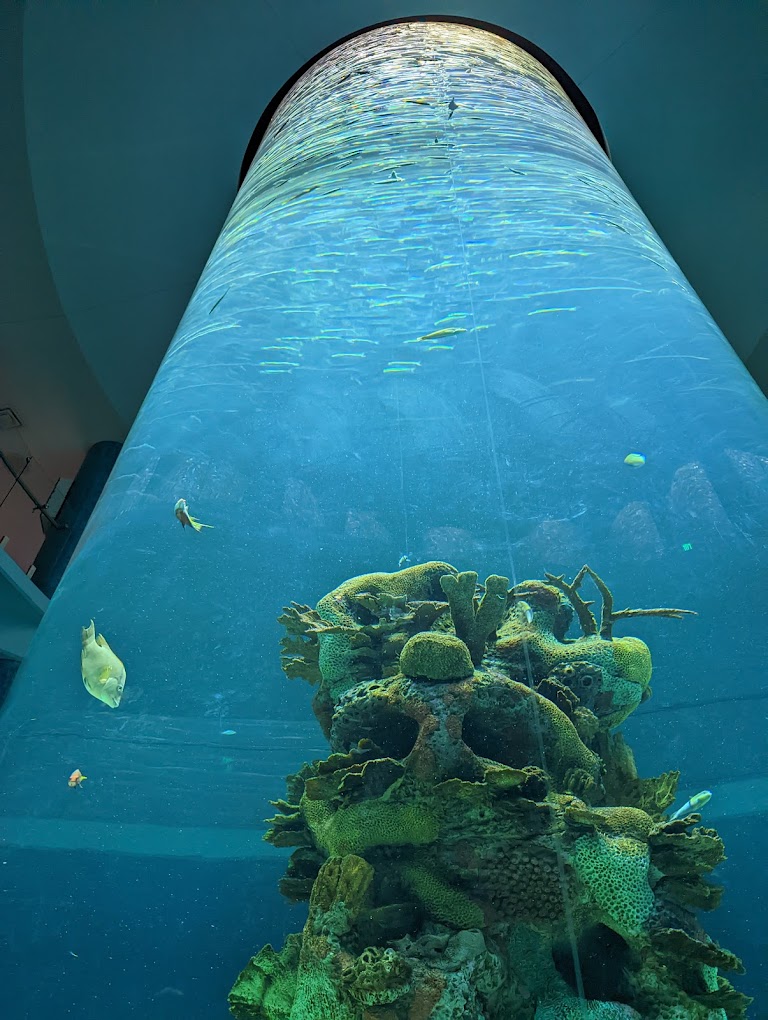 Mississippi Aquarium Travel | Park