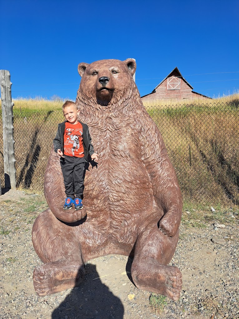 Montana Grizzly Encounter Travel | Zoo and Wildlife Sanctuary 