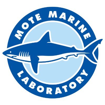 Mote Marine Laboratory|Museums|Travel