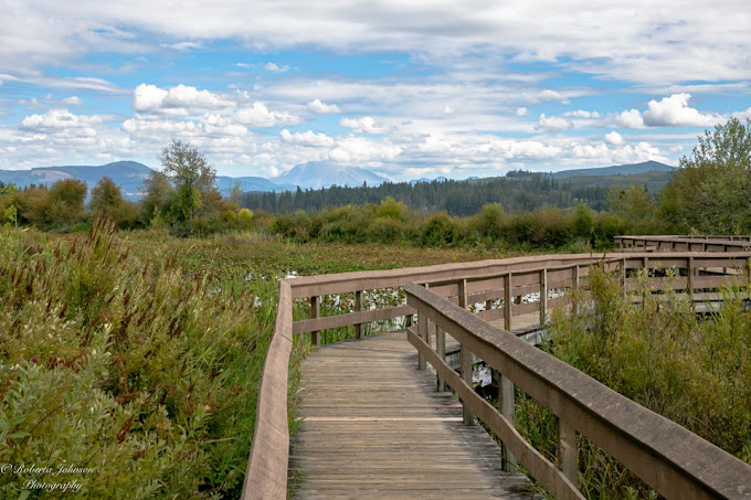 Mount St. Helens Visitor Center at Silver Lake Travel | Museums