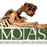 Museum of Arts and Sciences - Logo