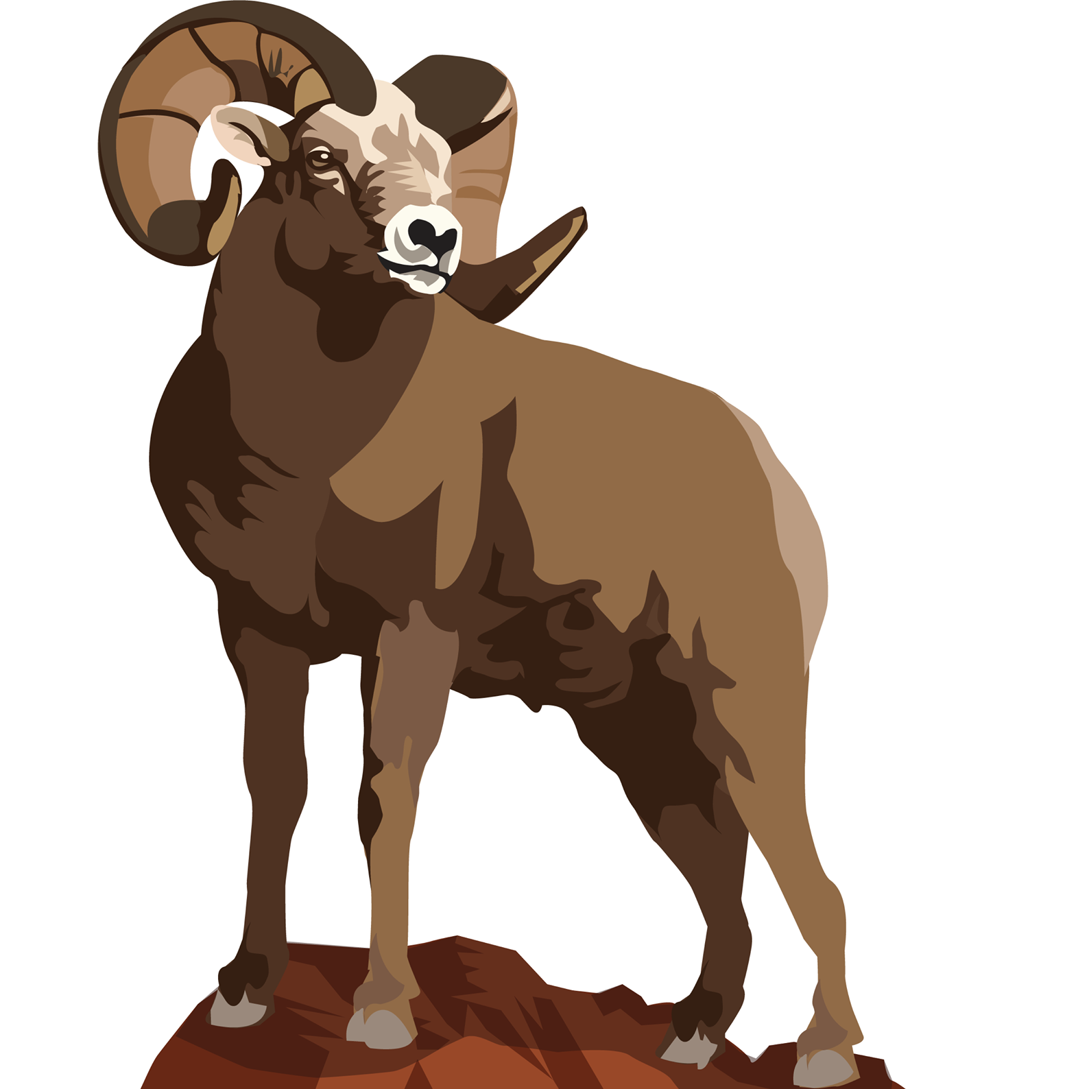 National Bighorn Sheep Interpretive Center - Logo