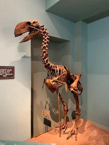 New Mexico Museum of Natural History and Science Travel | Museums