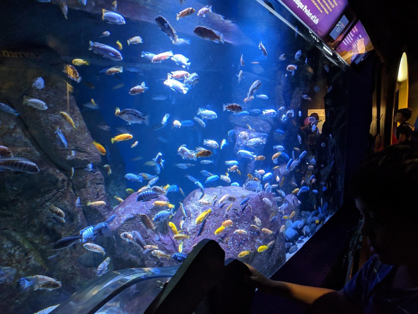 New York Aquarium Travel | Park