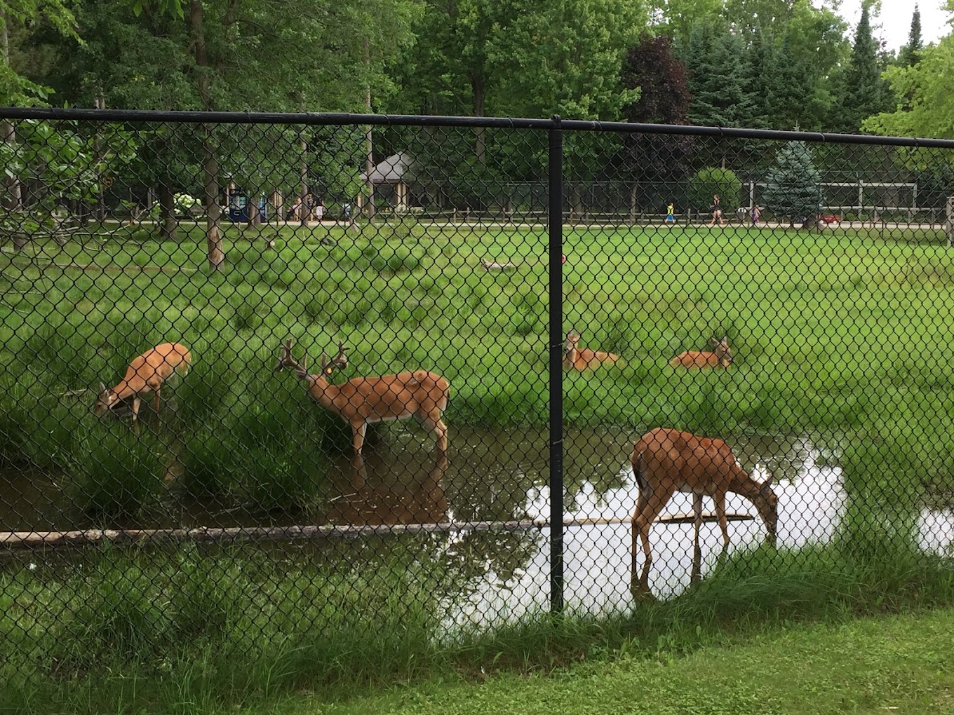 Northeastern Wisconsin Zoo Travel | Zoo and Wildlife Sanctuary 