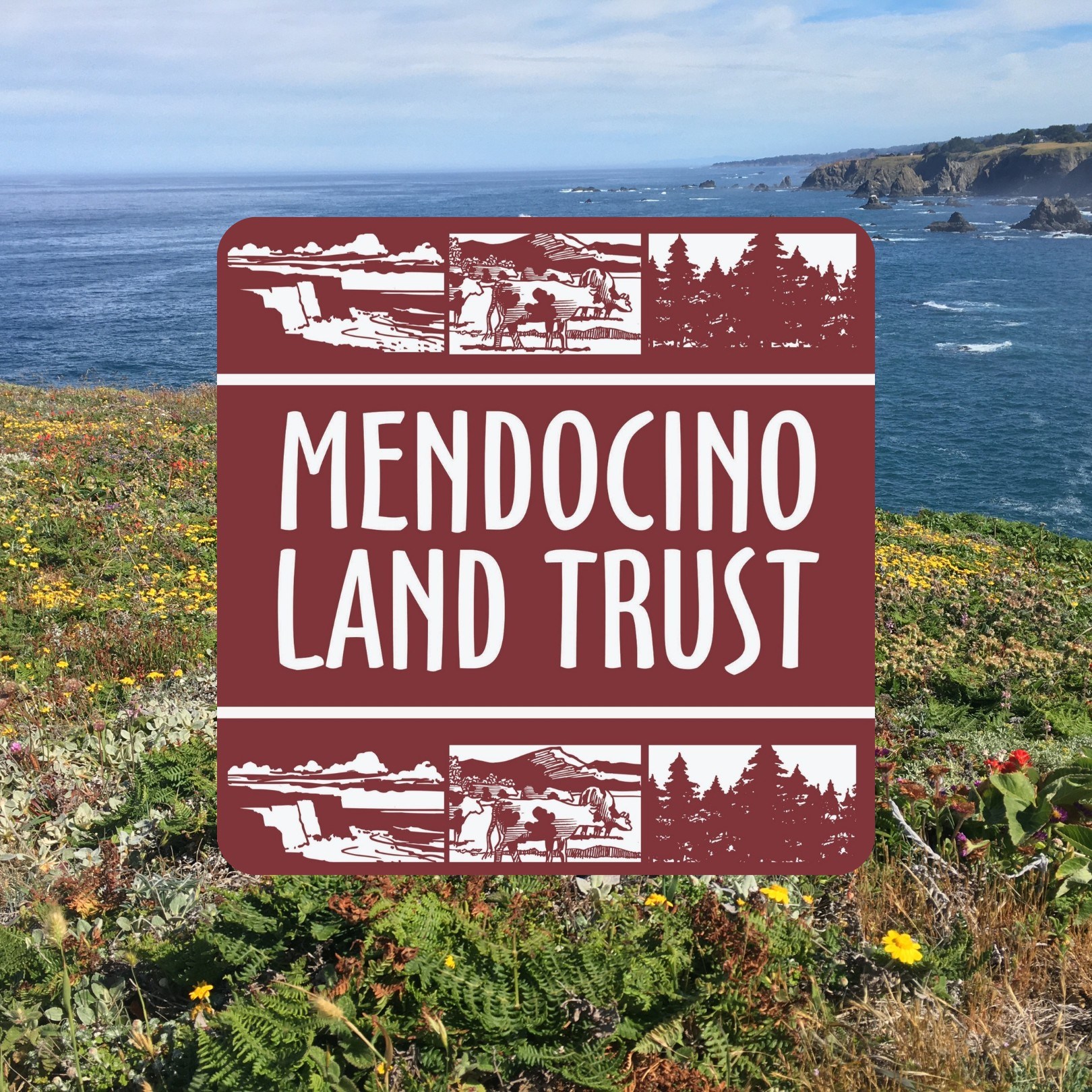 Noyo Headlands Park Logo