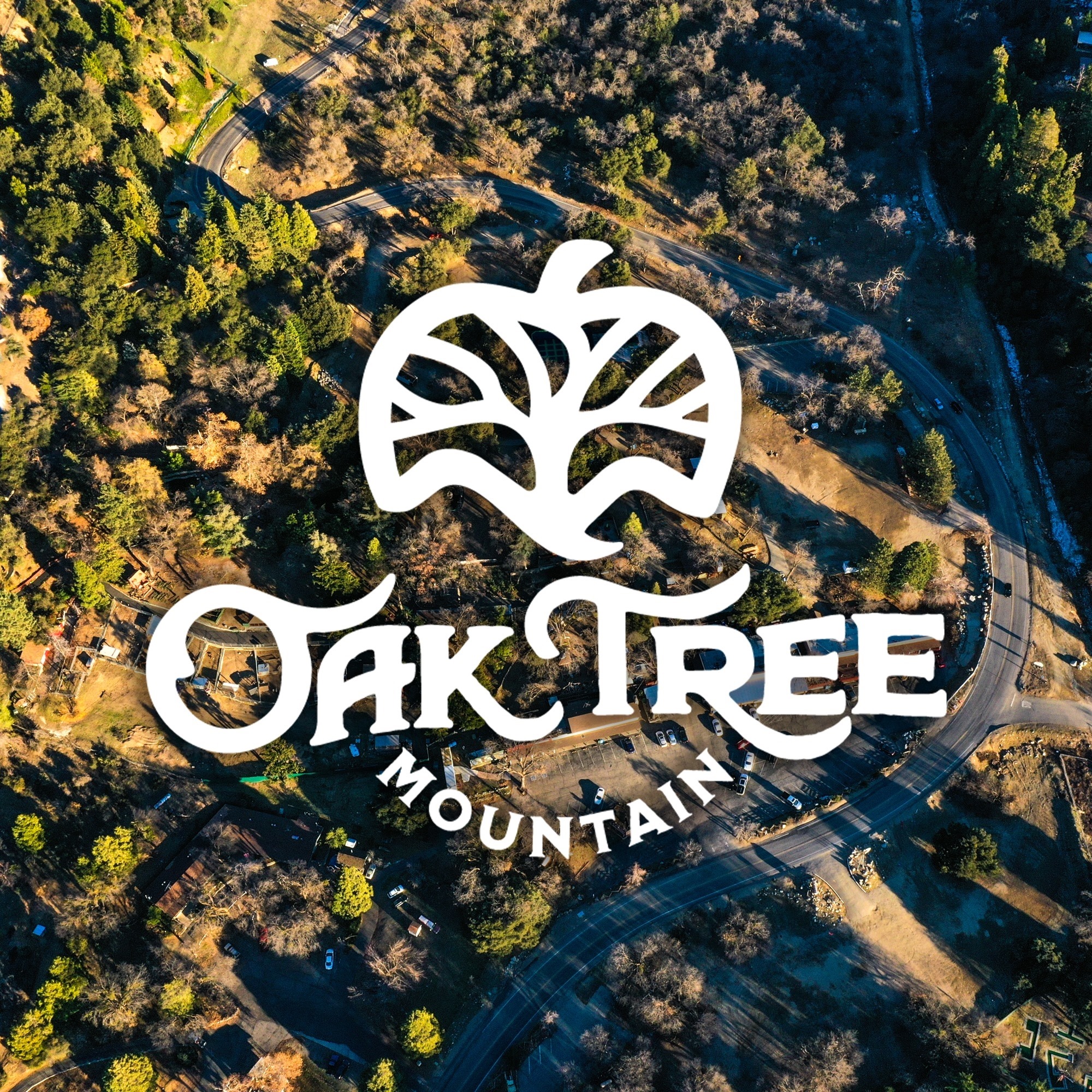 Oak Tree Mountain - Logo