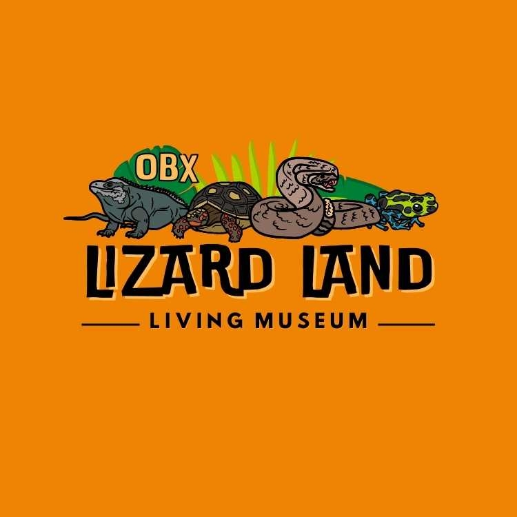 OBX Lizard Land Logo