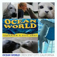 Ocean World - Logo