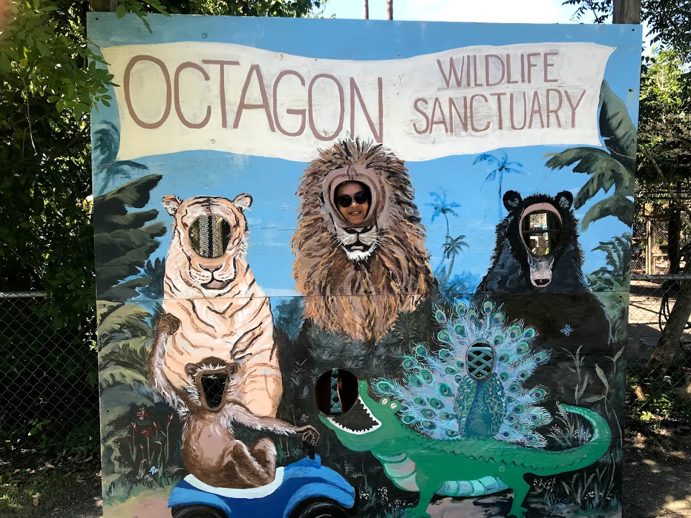 Octagon Wildlife Sanctuary Travel | Zoo and Wildlife Sanctuary 