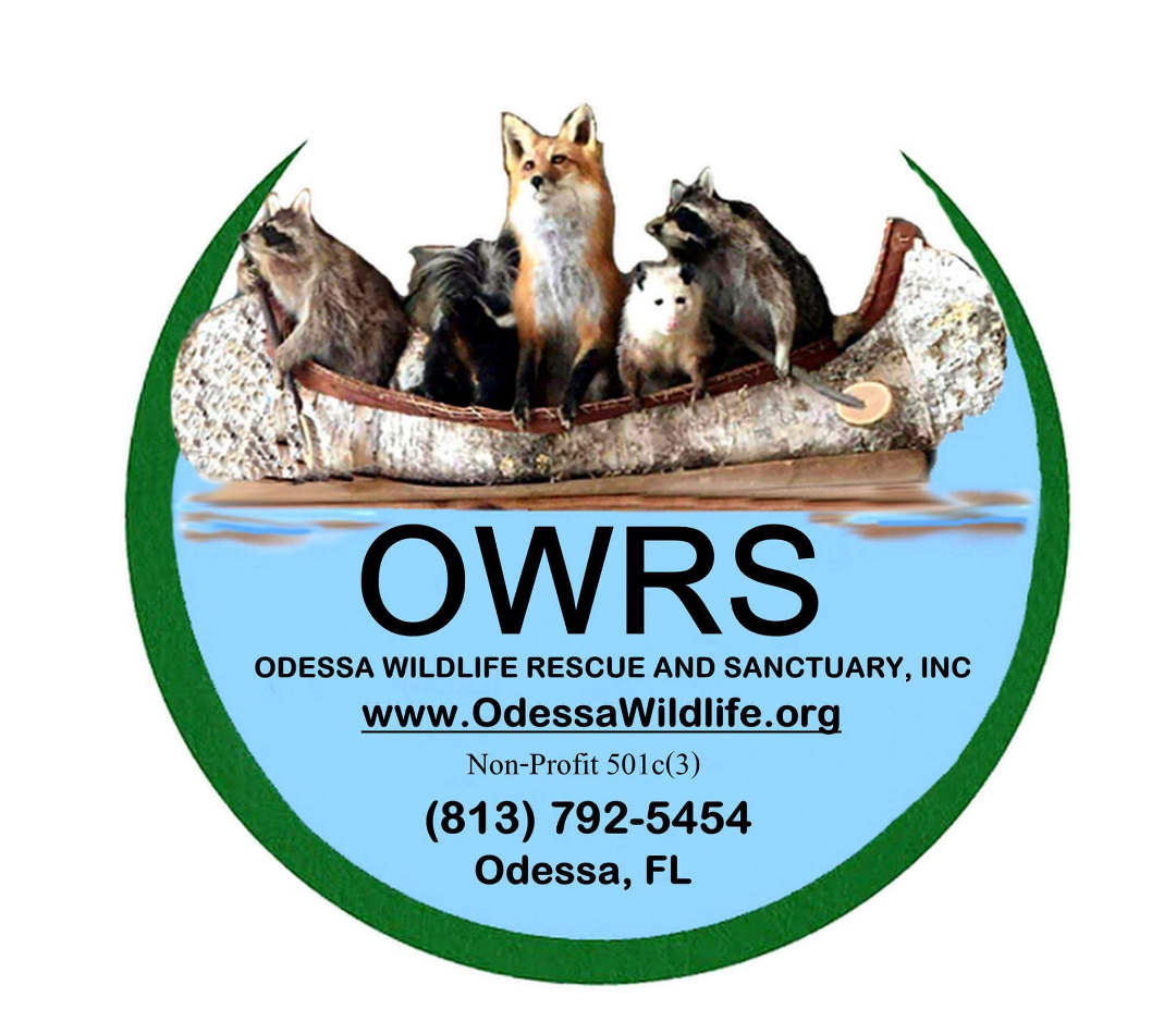 Odessa Animal Sanctuary OAS Logo
