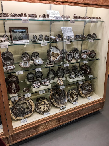 Orma J. Smith Museum of Natural History Travel | Museums