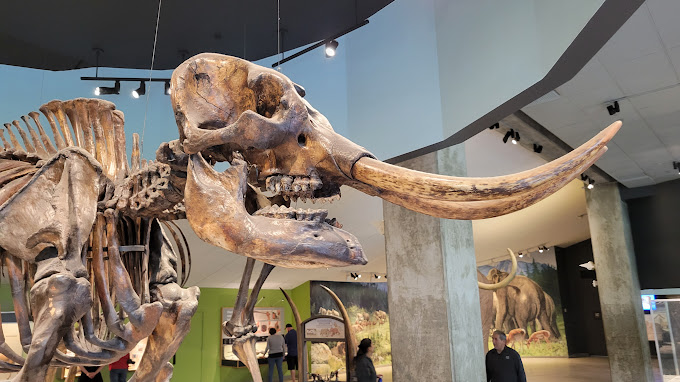 Page Museum - La Brea Tar Pits Travel | Museums