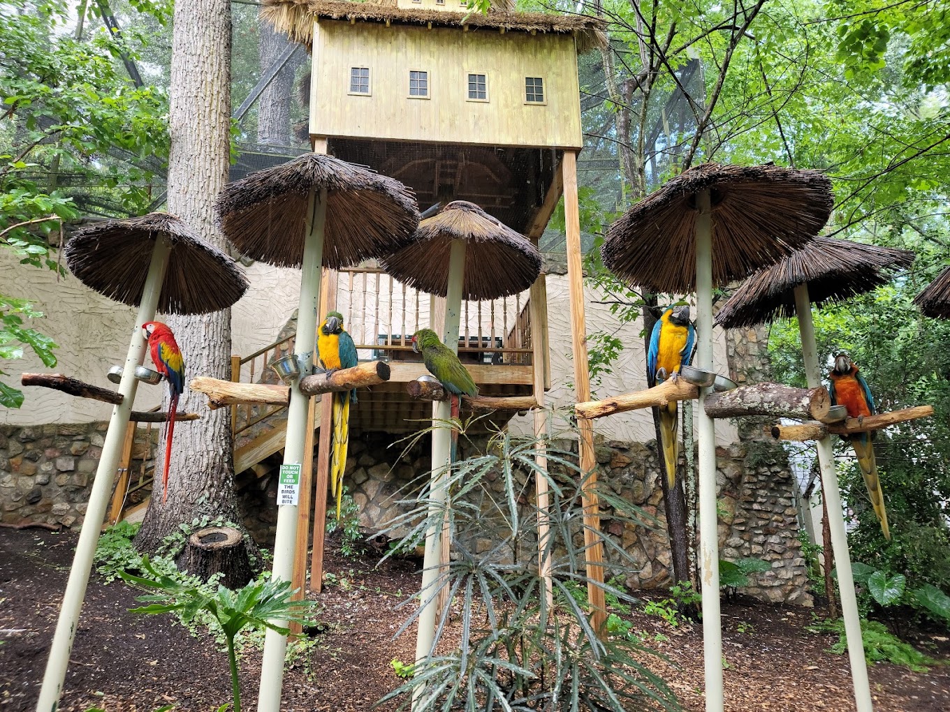 Parrot Mountain and Gardens Travel | Zoo and Wildlife Sanctuary 