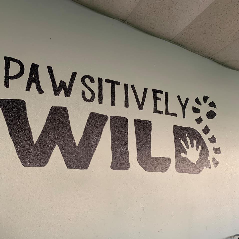 Pawsitively Wild Animal Encounters & Education Center Logo