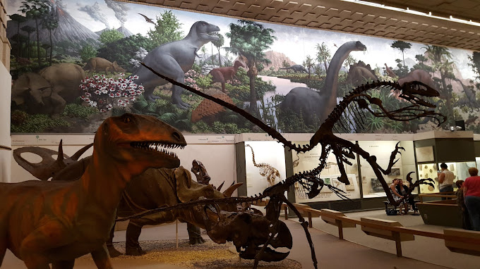 Peabody Museum of Natural History at Yale University Travel | Museums