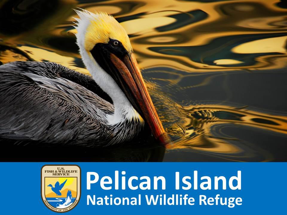 Pelican Island NWR Wildlife Viewing Area Logo