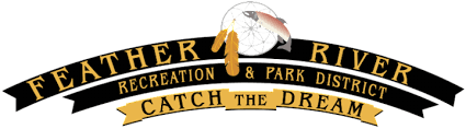 Play Town Park - Logo