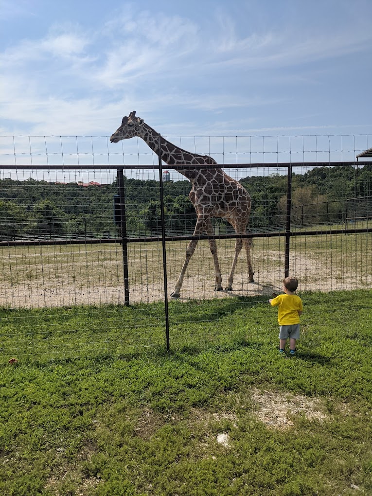 Promised Land Zoo Eagle Rock Travel | Zoo and Wildlife Sanctuary 