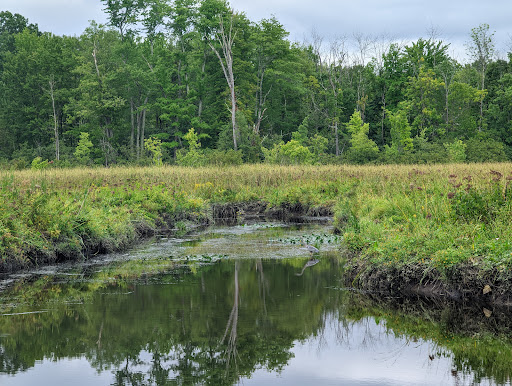 RamsHorn-Livingston Audubon Sanctuary Travel | Park