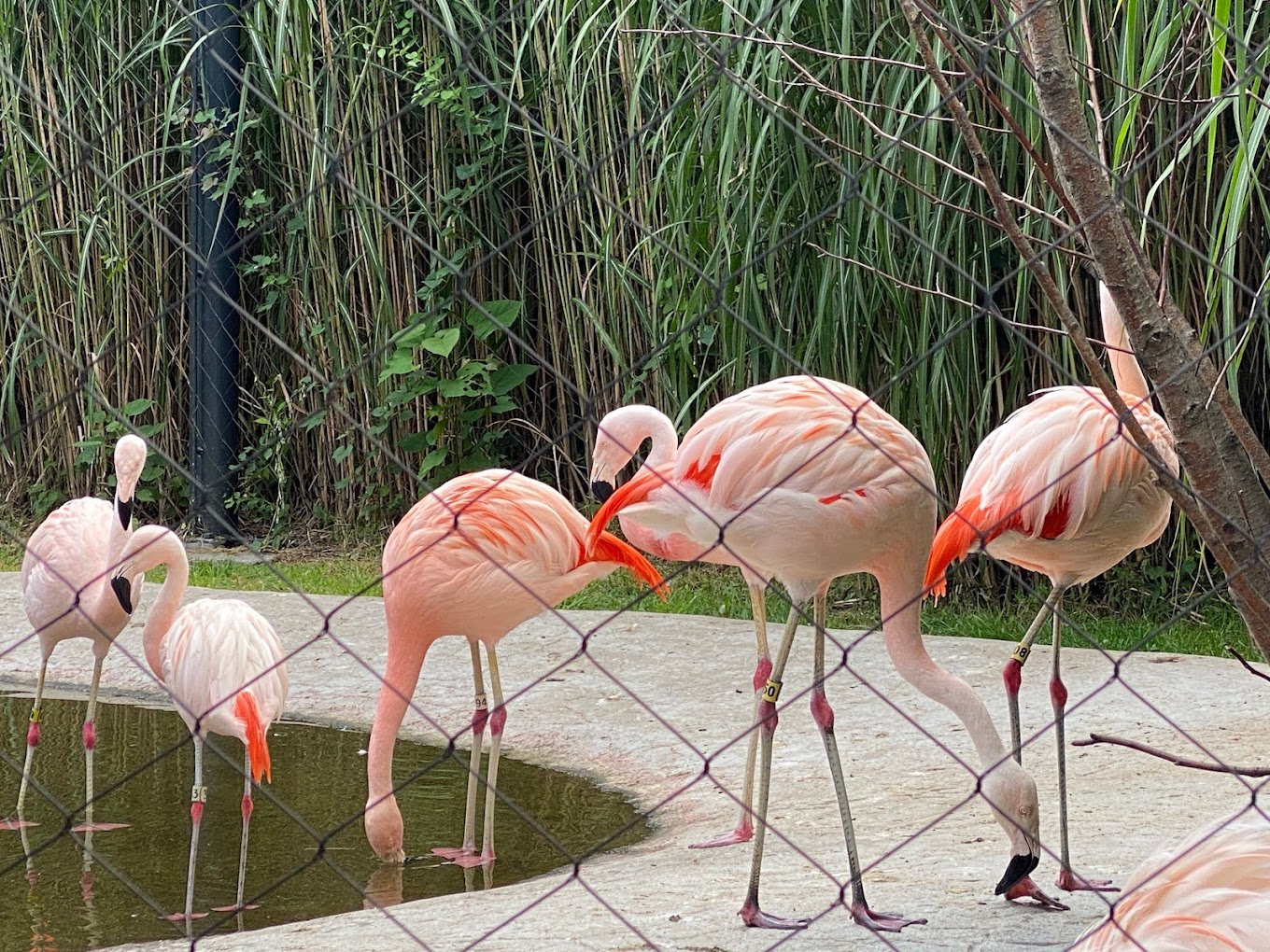 Roger Williams Park Zoo Travel | Zoo and Wildlife Sanctuary 